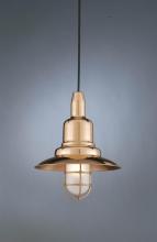  H-1350-C-98/44-FROST - PENDANT COLLECTION
